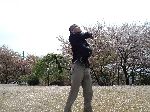 2009hanami08.jpg