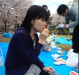 2010hanami05.jpg