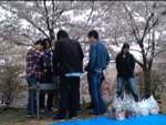 2010hanami08.jpg