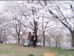 2010hanami09.jpg