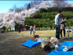 2010hanami23.jpg