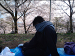 2010hanami24.jpg