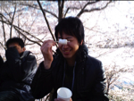 2010hanami26.jpg