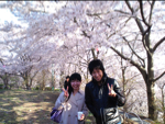 2010hanami34.jpg