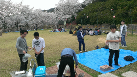 sakura2015_06.png